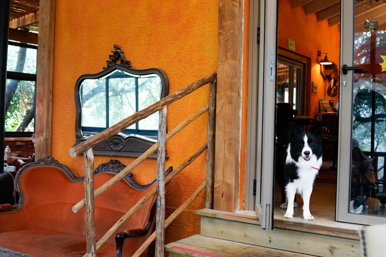 Parod Country Lodge 外观 照片